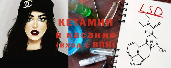 МДПВ Пересвет