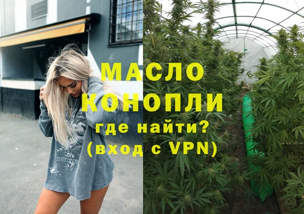 МДПВ Пересвет