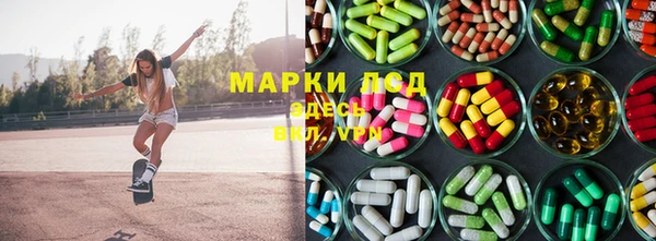 МДПВ Пересвет