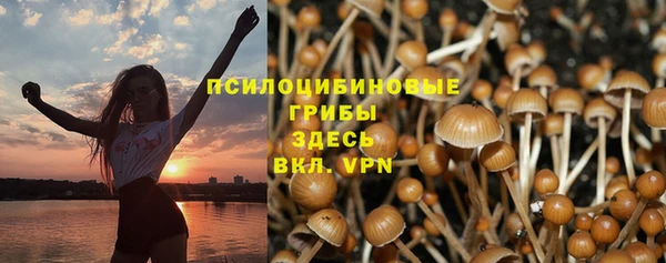 спиды Переславль-Залесский